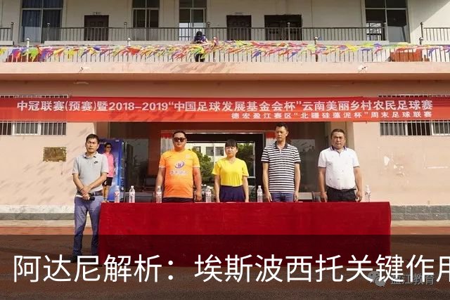 阿达尼解析：埃斯波西托关键作用显著，巴雷拉与托纳利表现失常